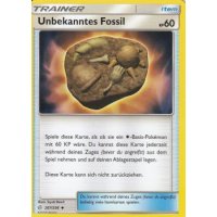 Unbekanntes Fossil 207/236