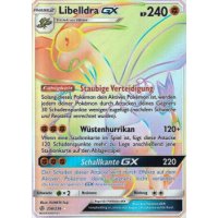 Libelldra-GX 256/236 RAINBOW