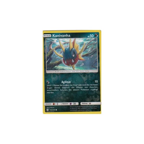 Kanivanha 132/236 REVERSE HOLO