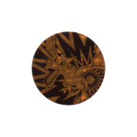 Aerodactyl Münze *RARITÄT*