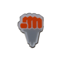 Pokemon Passbeck Kampf Arena Orden Pin Anstecker