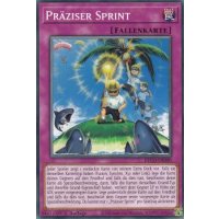 Pr&auml;ziser Sprint ETCO-DE080