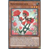 Rosenmädchen ETCO-DE081