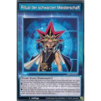 Ritual der schwarzen Meisterschaft SS04-DES01