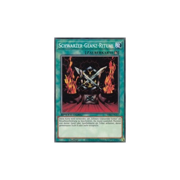 Schwarzer-Glanz-Ritual SS04-DEA17