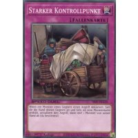 Starker Kontrollpunkt SS05-DEA30
