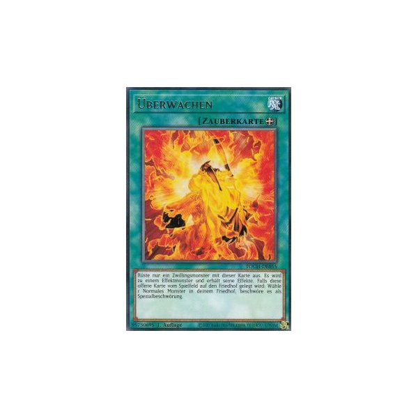 &Uuml;berwachen TOCH-DE055