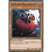 Schwarzes Drachenküken LDS1-DE002