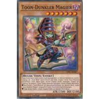 Toon-Dunkler Magier LDS1-DE067