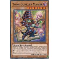 Toon-Dunkler Magier LDS1-DE067
