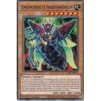 Umgewandelte Insektenkönigin LDS1-DE072