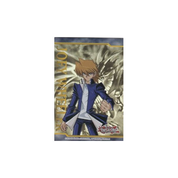 Joey Wheeler Sammelkarte LDS1-DE130