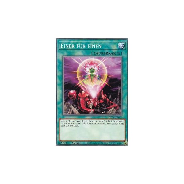 Einer f&uuml;r einen SDSA-DE027