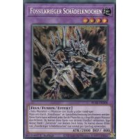 Fossilkrieger Schädelknochen BLAR-DE008