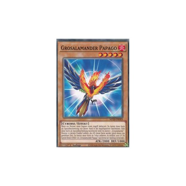 Grosalamander Papago MP20-DE003