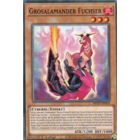 Grosalamander Fuchser MP20-DE004