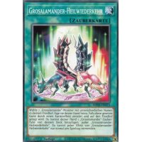 Grosalamander-Heilwiederkehr MP20-DE073