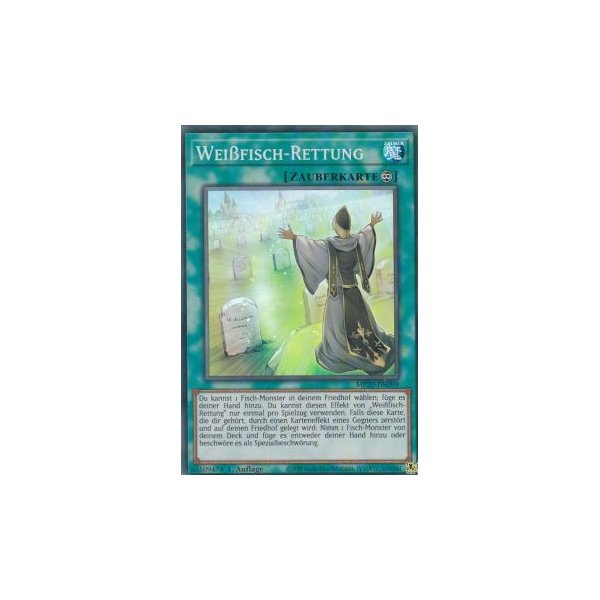 Wei&szlig;fisch-Rettung MP20-DE099