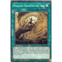 Makellose Perfektion der Tenyi MP20-DE130