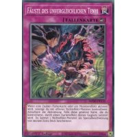 Fäuste des unvergleichlichen Tenyi MP20-DE135