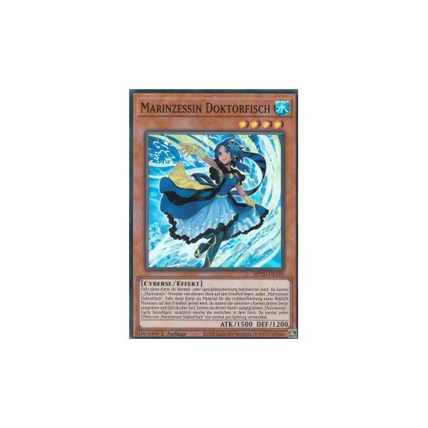 Marinzessin Doktorfisch MP20-DE149