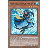 Marinzessin Doktorfisch MP20-DE149