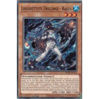 Losgekettete Zwillinge - Rakea MP20-DE153