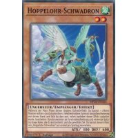 Hoppelohr-Schwadron MP20-DE164