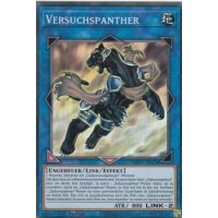 Versuchspanther MP20-DE176