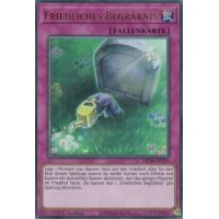 Friedliches Begr&auml;bnis MP20-DE196