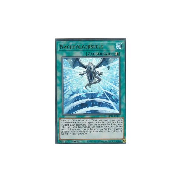 Nachfolgerseele MP20-DE246