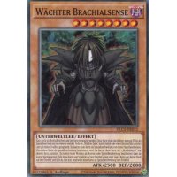 W&auml;chter Brachialsense DLCS-DE012