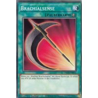 Brachialsense DLCS-DE014