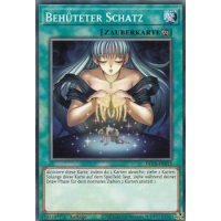 Behüteter Schatz DLCS-DE015