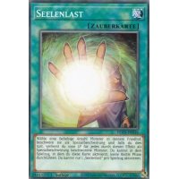 Seelenlast DLCS-DE016