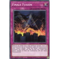 Finale Fusion DLCS-DE020