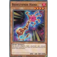 Bedeutende Hand DLCS-DE050
