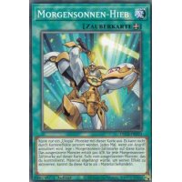 Morgensonnen-Hieb DLCS-DE053