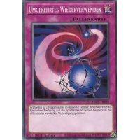 Umgekehrtes Wiederverwenden DLCS-DE089