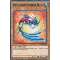 Aquaschauspielerin Tetra DLCS-DE090