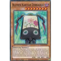 Blumen-Kartian Zebragras DLCS-DE128