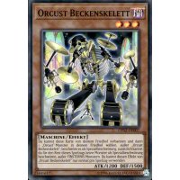 Orcust Beckenskelett OP12-DE007