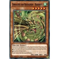 Erwachen der Besessenen - Rasenryu PHRA-DE021
