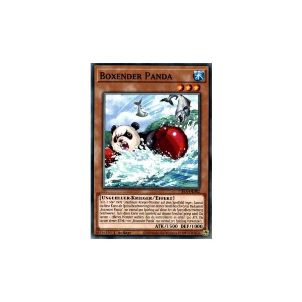 Boxender Panda PHRA-DE082