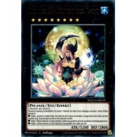 Nummer 87: Königin der Nacht MAGO-DE059