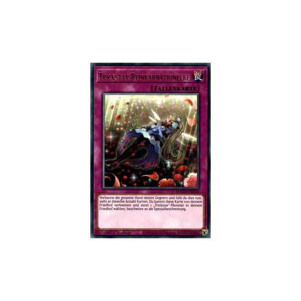 Trickstar-Reinkarnationsnelke MAGO-DE161
