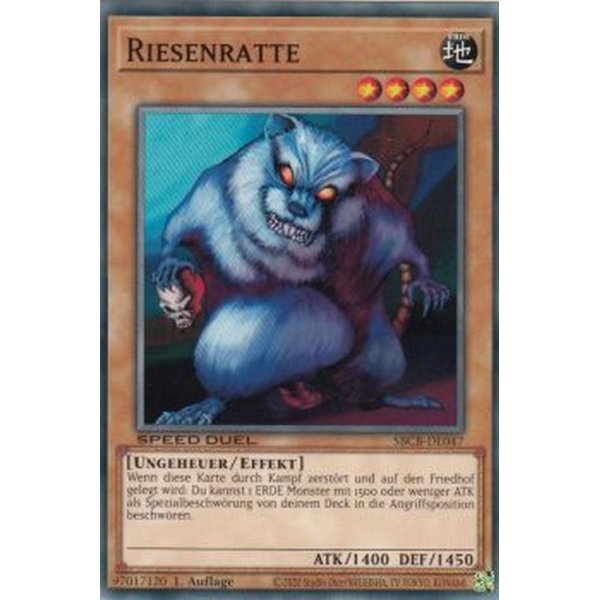 Riesenratte SBCB-DE047