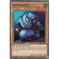 Riesenratte SBCB-DE047