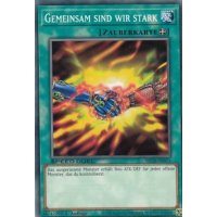 Gemeinsam sind wir stark SBCB-DE074