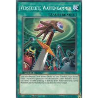 Versteckte Waffenkammer SBCB-DE163